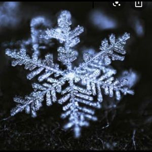 Meet your Posher, Zoe